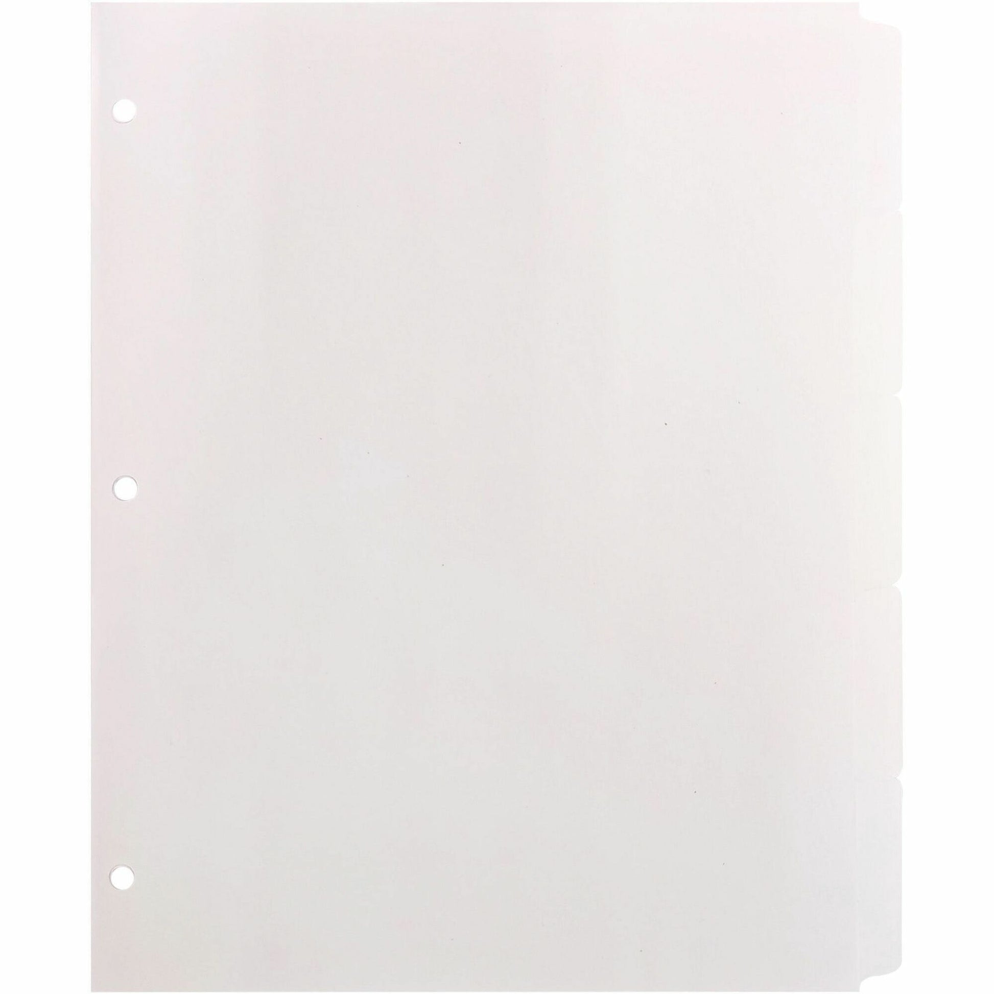 Business Source Reinforced Hole Punched Indexes