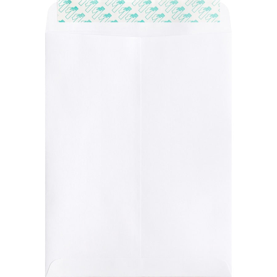 Business Source Self Sealing Catalog Envelope - 65450