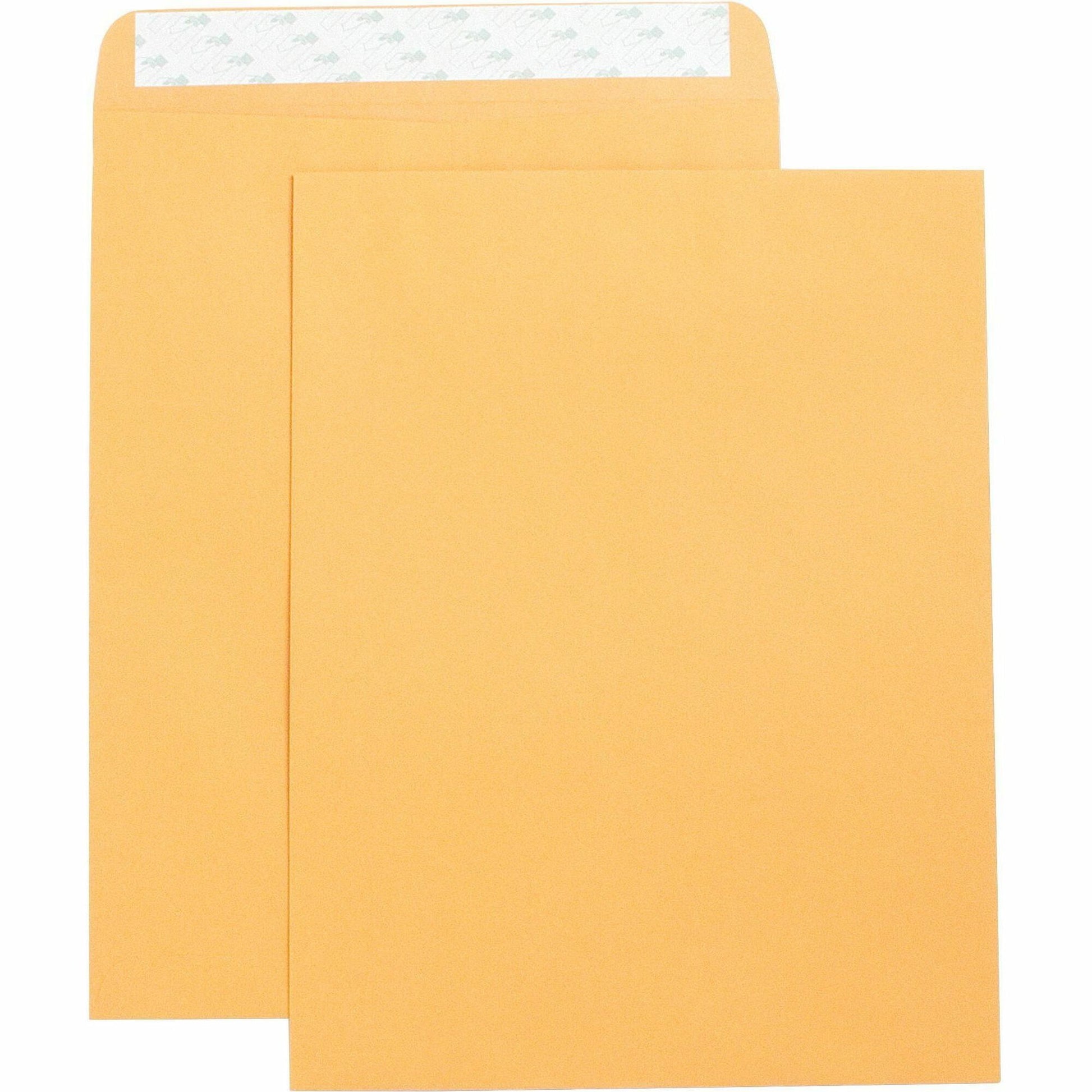 Business Source Self Adhesive Kraft Catalog Envelopes