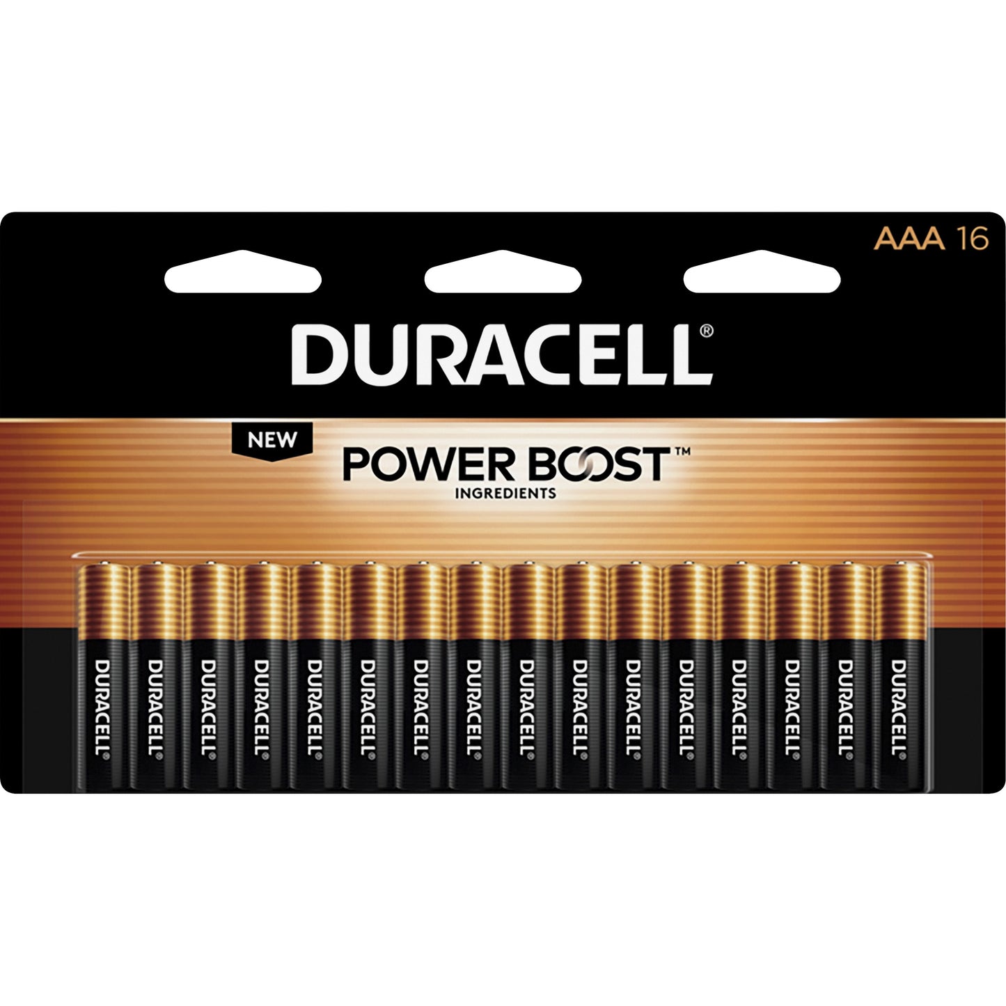 Duracell Coppertop Alkaline AAA Batteries