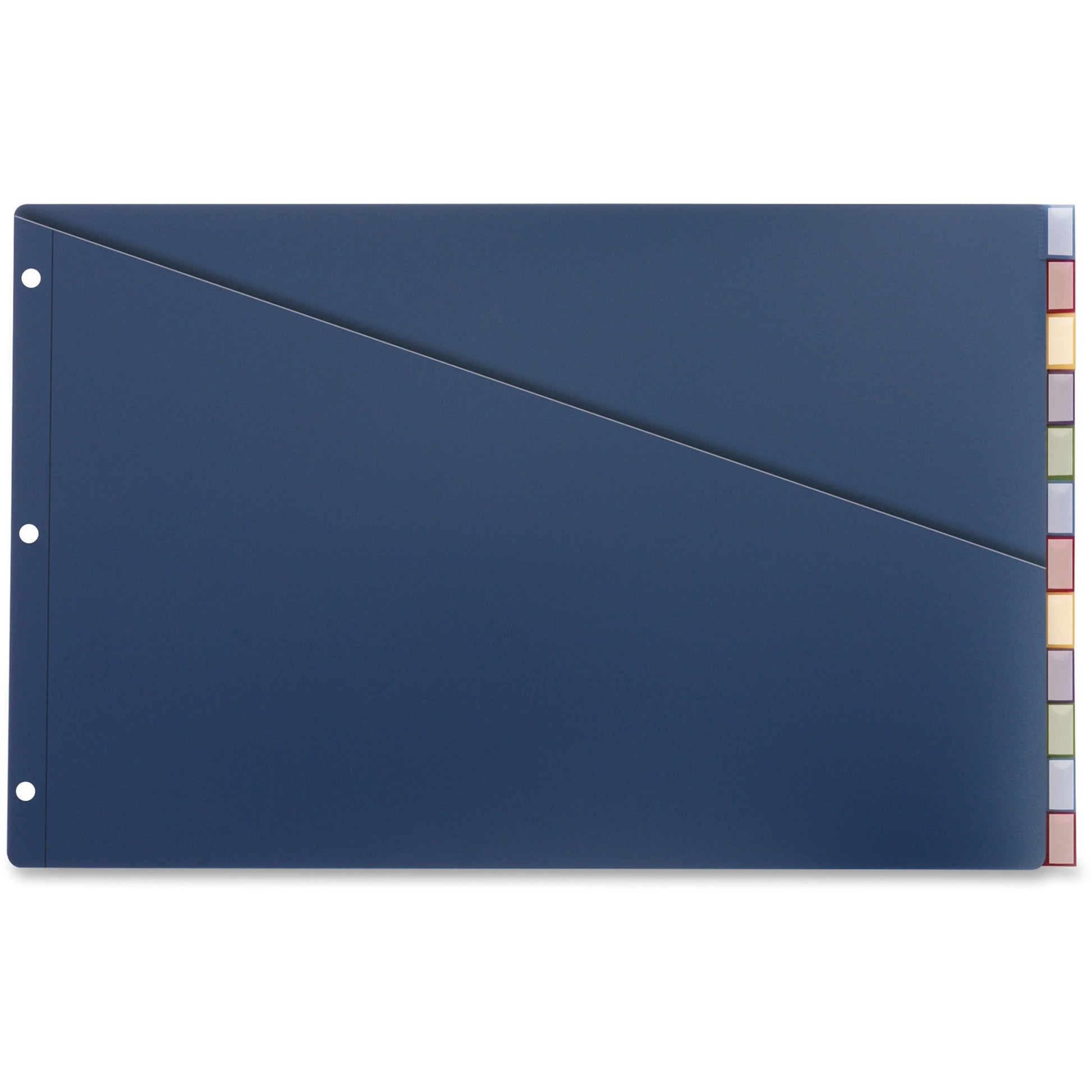 Cardinal Insertable 11x17 Punched Poly Dividers