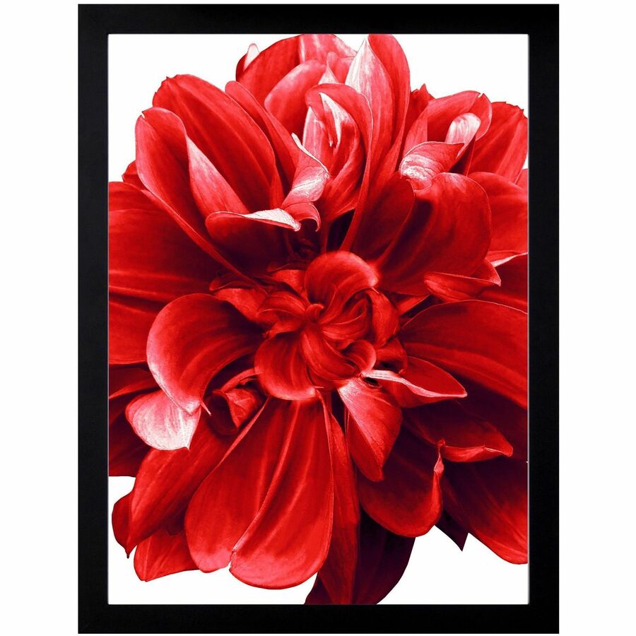 Lorell Wide Frame - 49211