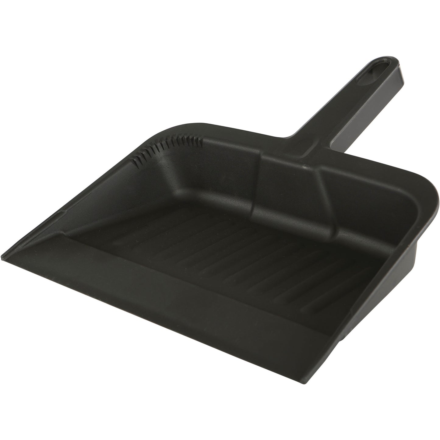 Globe Plastic Dust Pan 12"