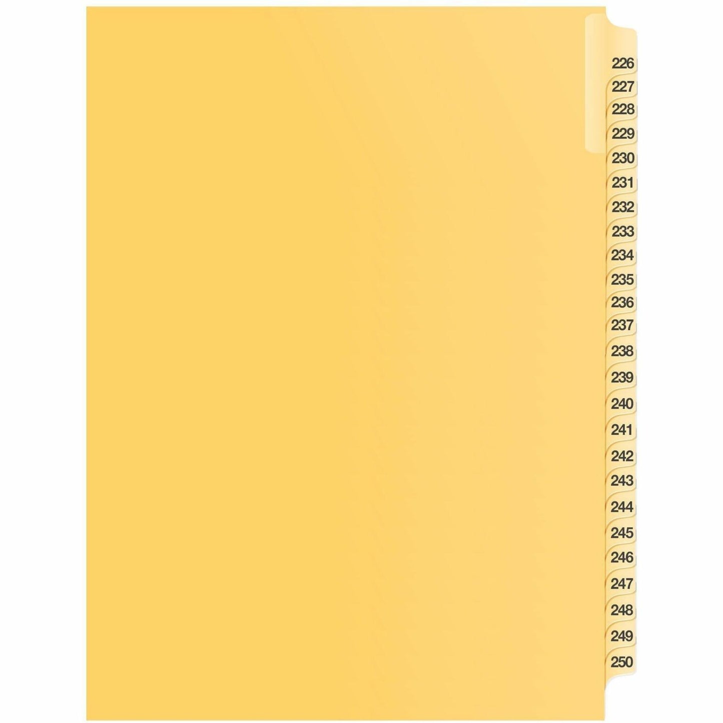 Davis Group Index Divider
