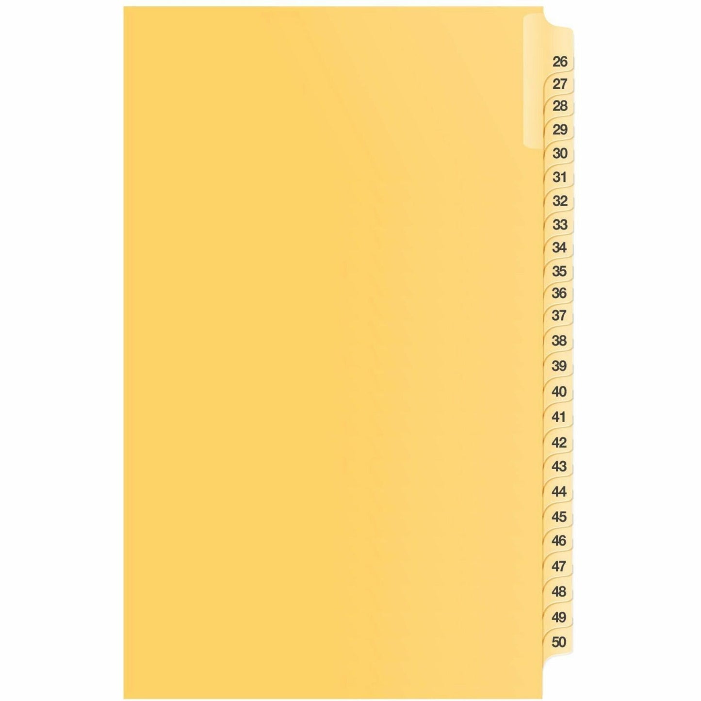 Davis Group B18501 Index Divider