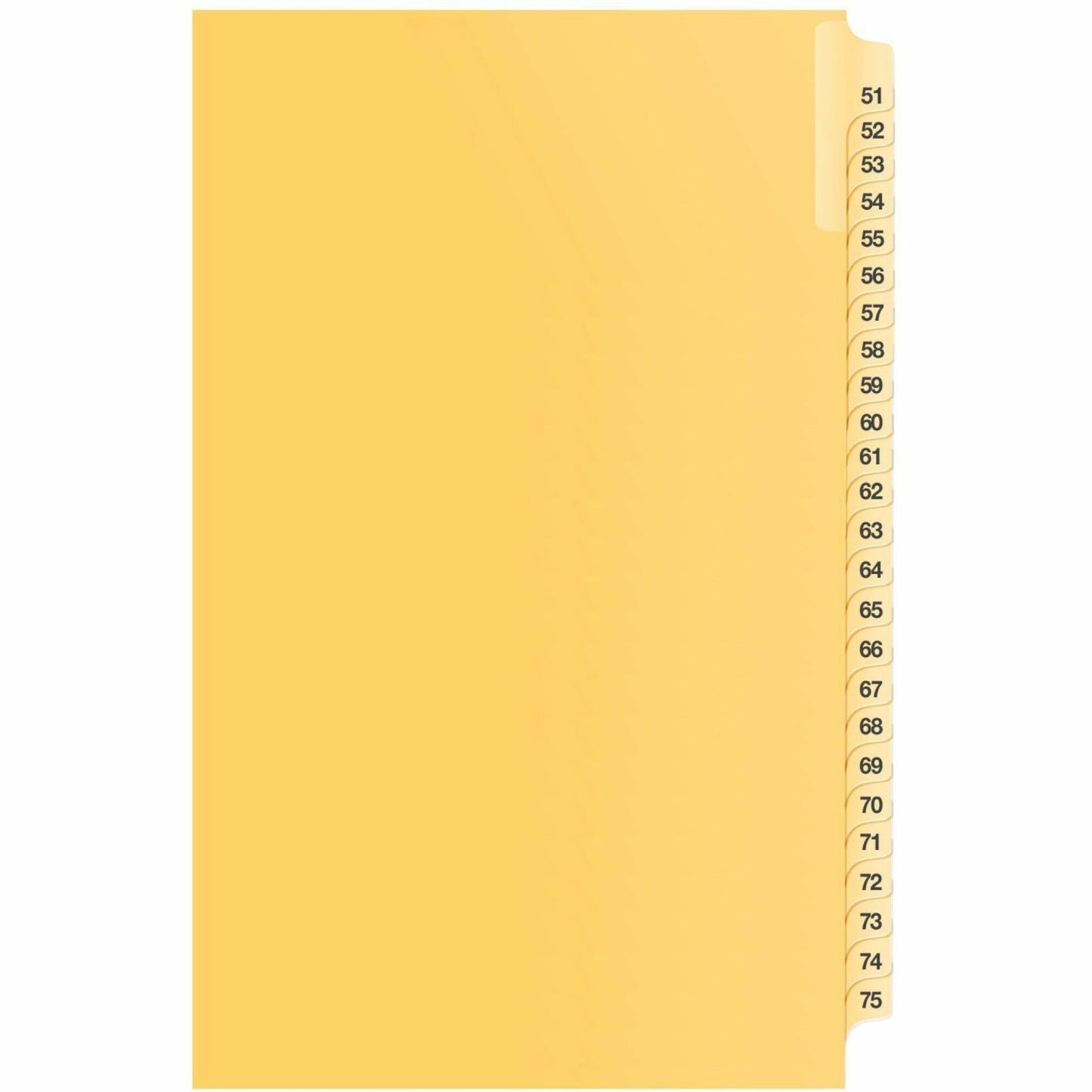 Davis Group B18502 Index Divider