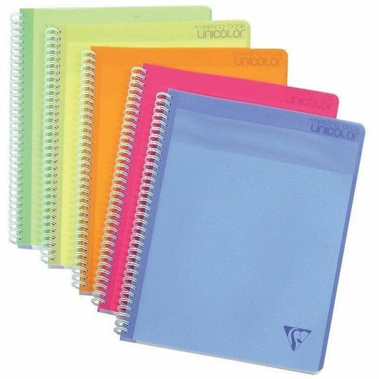 Clairefontaine Linicolor Meeting Book