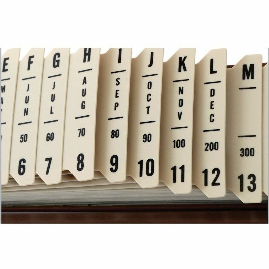 Pendaflex Plastic Sort-All Sorter - 40652