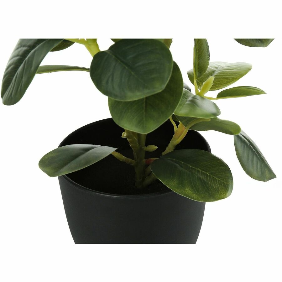 Monarch Specialties Artificial Plant - 2pcs / 14"H Ficus Elastica in 4" Pot - I9585