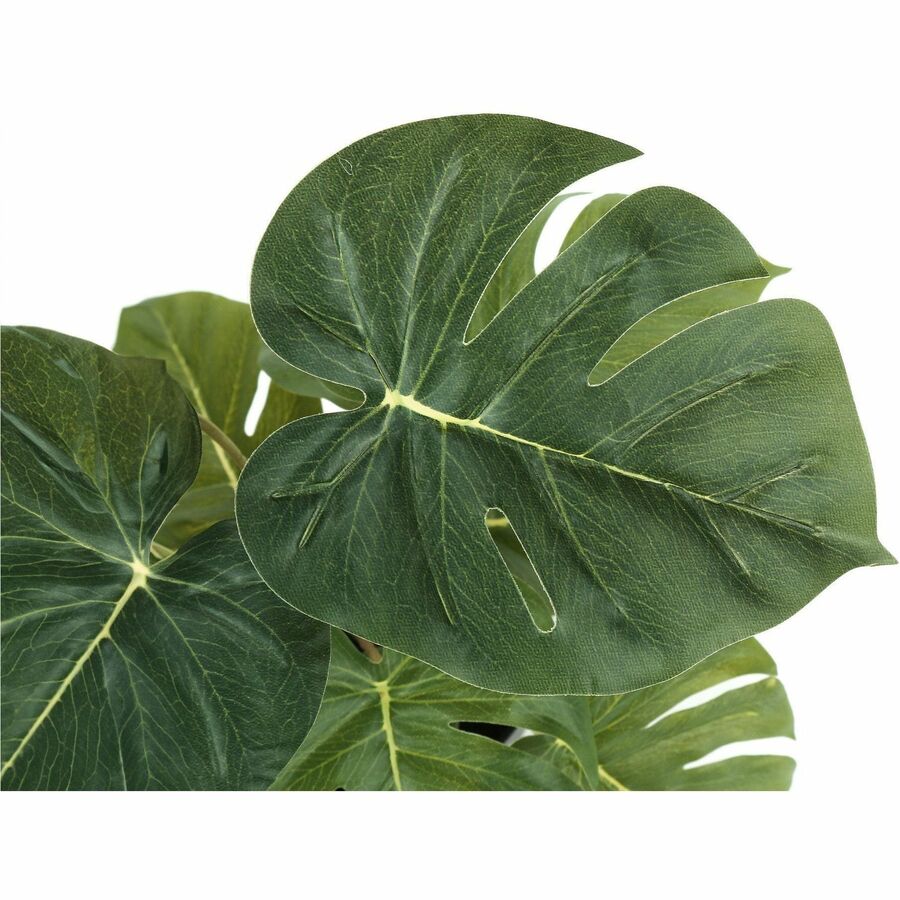 Monarch Specialties Artificial Plant - 2pcs / 13"H Monstera/Calathea/ 4" Pot - I9584