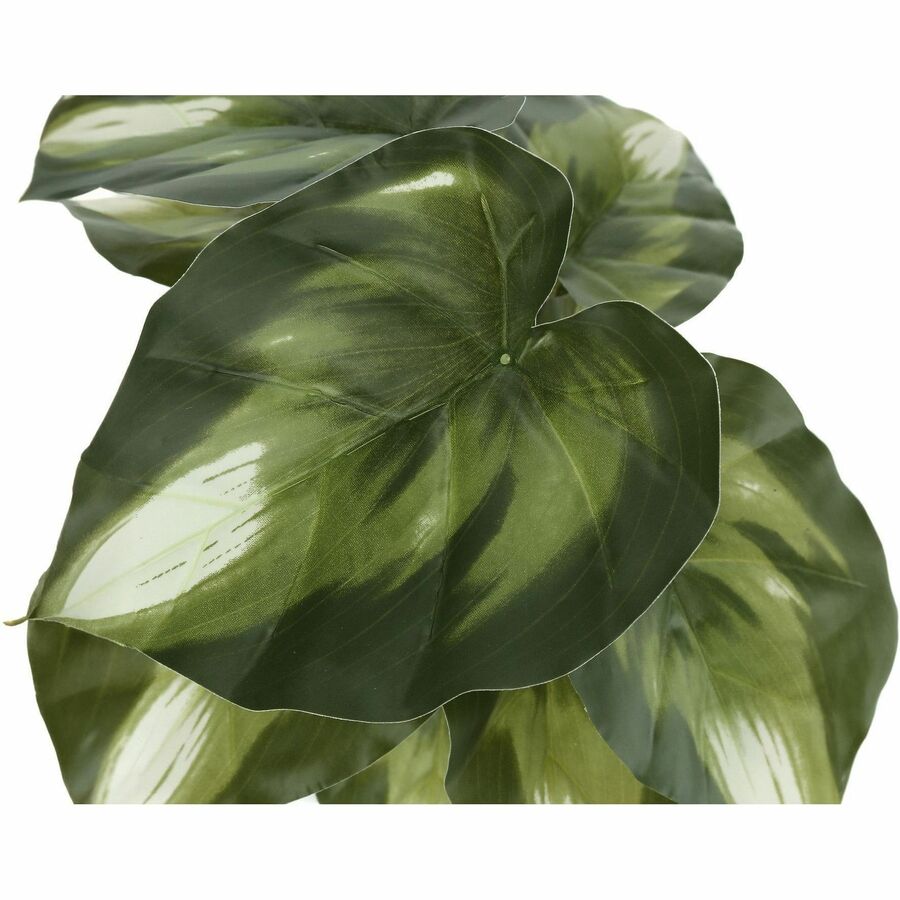 Monarch Specialties Artificial Plant - 2pcs / 13"H Monstera/Calathea/ 4" Pot - I9584