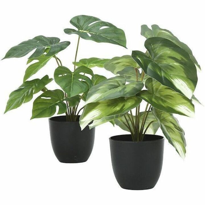 Monarch Specialties Artificial Plant - 2pcs / 13"H Monstera/Calathea/ 4" Pot - I9584