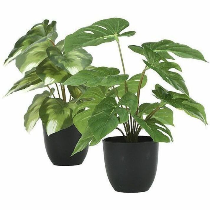 Monarch Specialties Artificial Plant - 2pcs / 13"H Monstera/Calathea/ 4" Pot - I9584