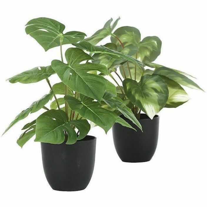 Monarch Specialties Artificial Plant - 2pcs / 13"H Monstera/Calathea/ 4" Pot - I9584