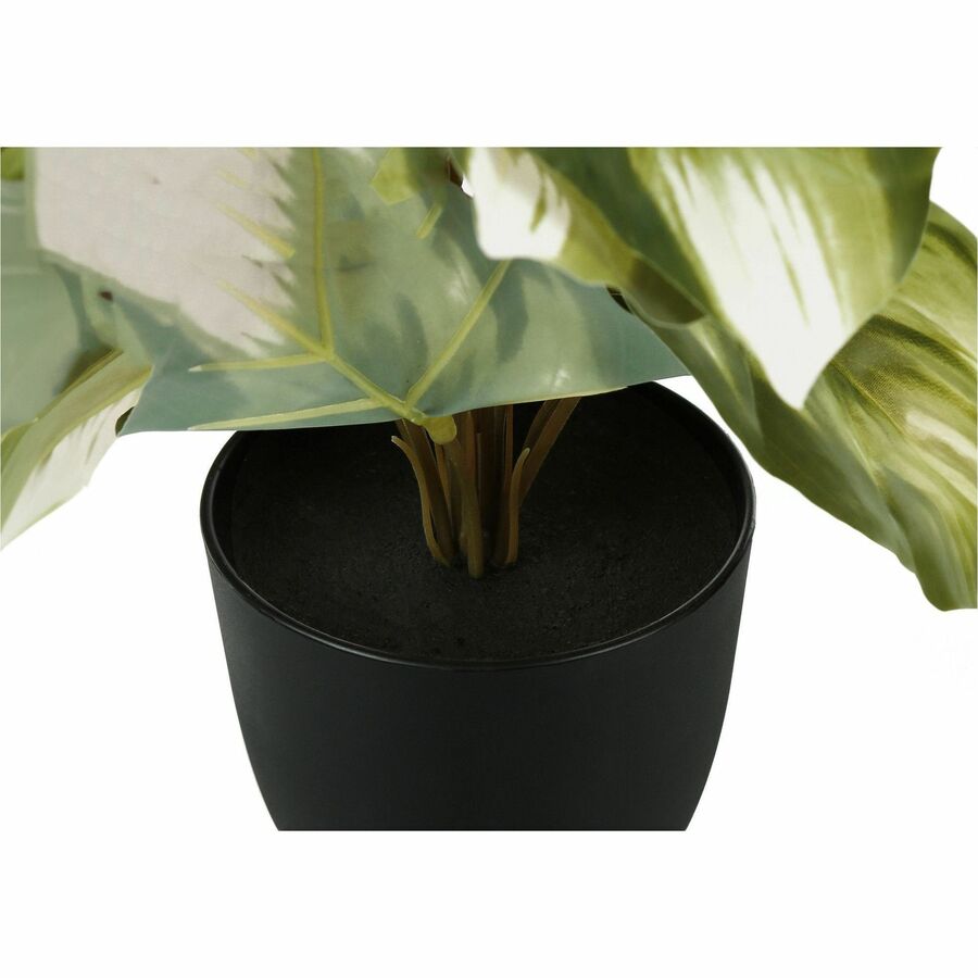 Monarch Specialties Artificial Plant - 2pcs / 13"H Monstera/Calathea/ 4" Pot - I9584