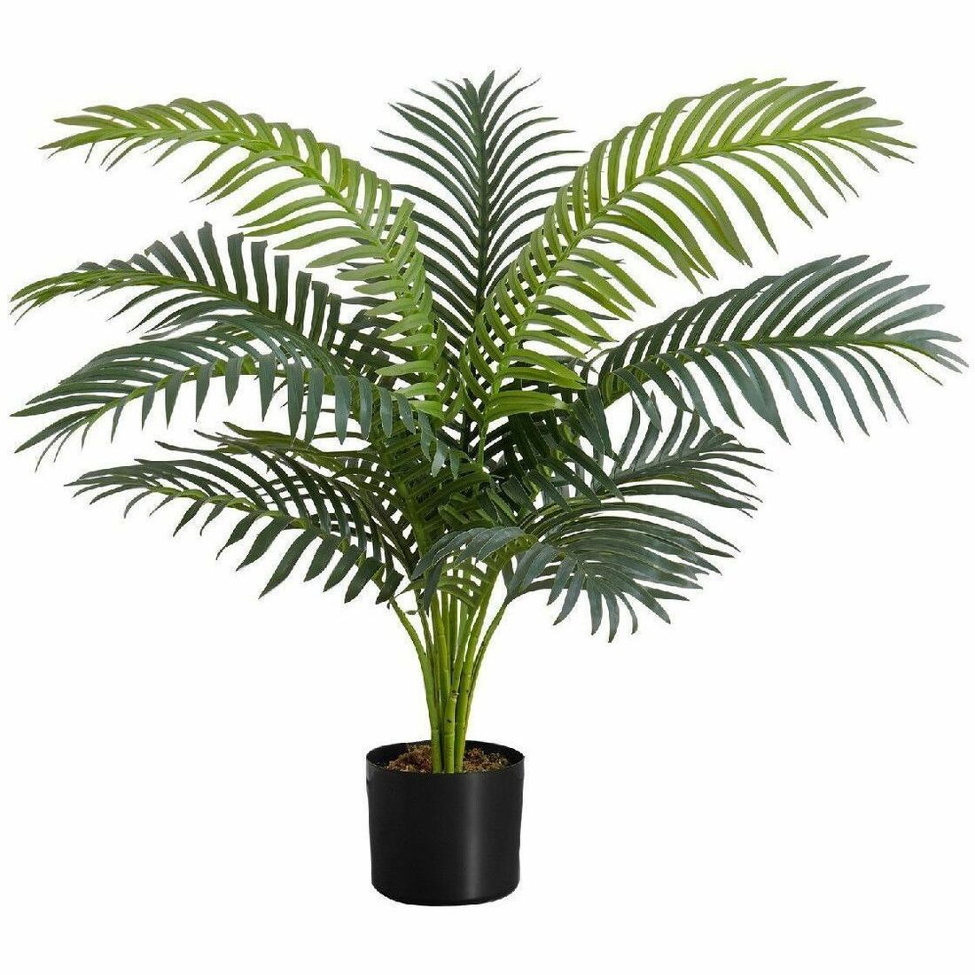 Monarch Specialties Artificial Plant - 34"H / Indoor Palm Tree in a 5" Pot