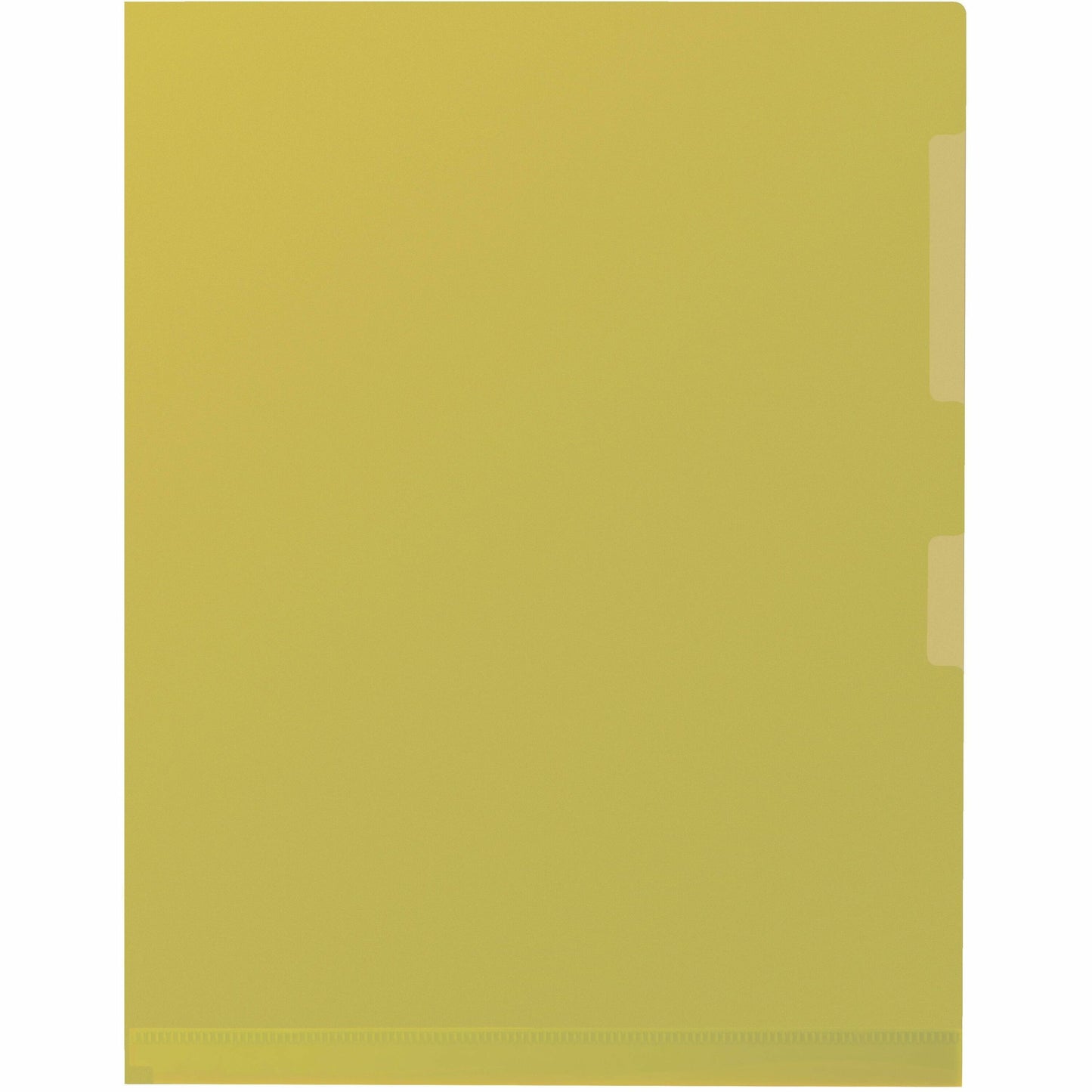 Merangue Letter Storage Folder