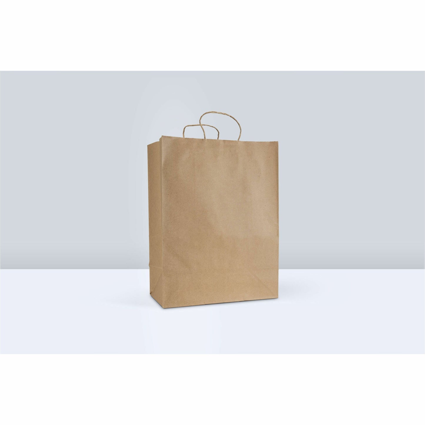 Inteplast Twisted Paper Handle Bags - Kraft Color