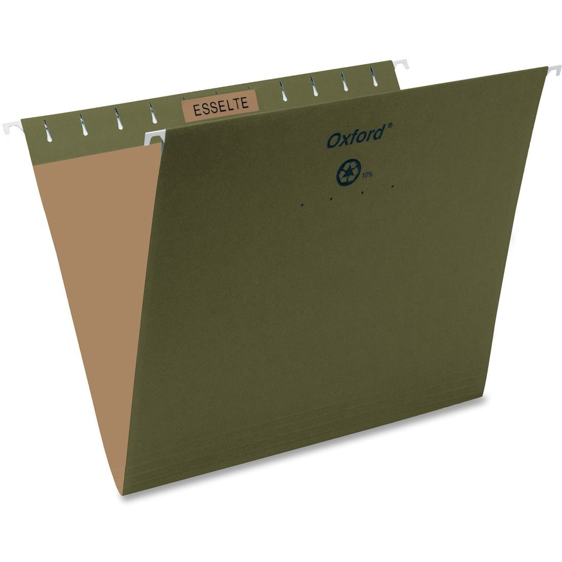 Pendaflex Letter Recycled Hanging Folder
