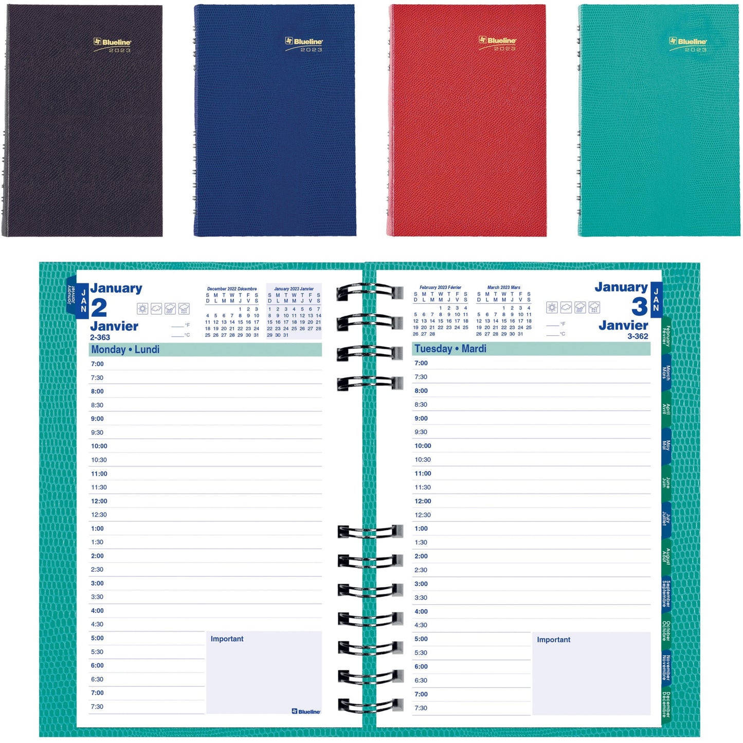 Blueline Blueline Daily Planner