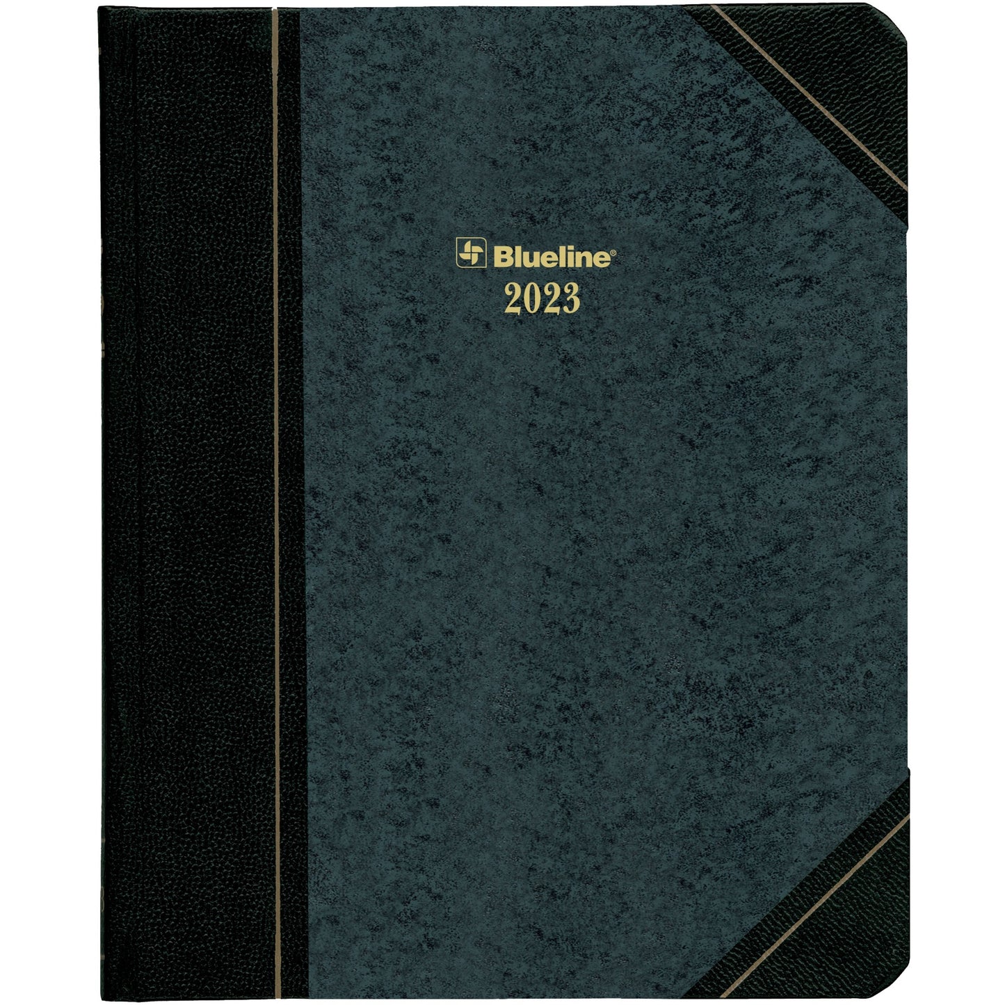 Blueline Blueline Daily Diary