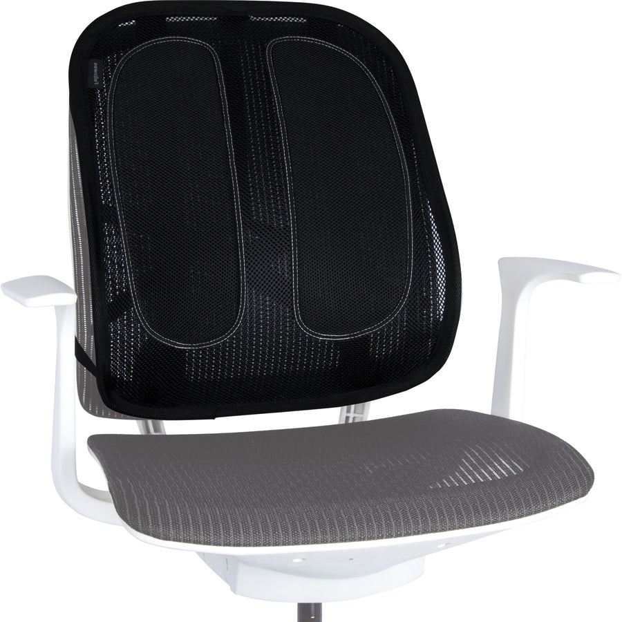SUPPORT,BACK,MESH,BK