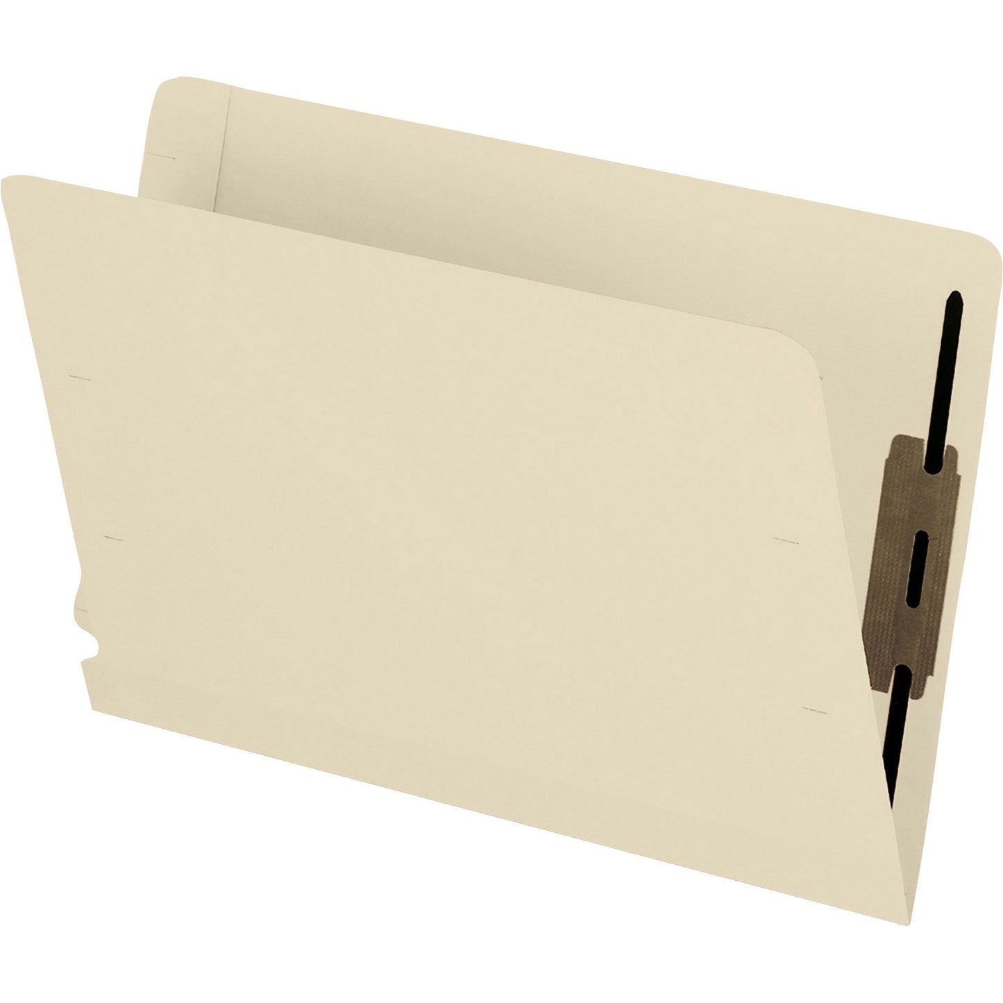 Pendaflex Letter Recycled End Tab File Folder
