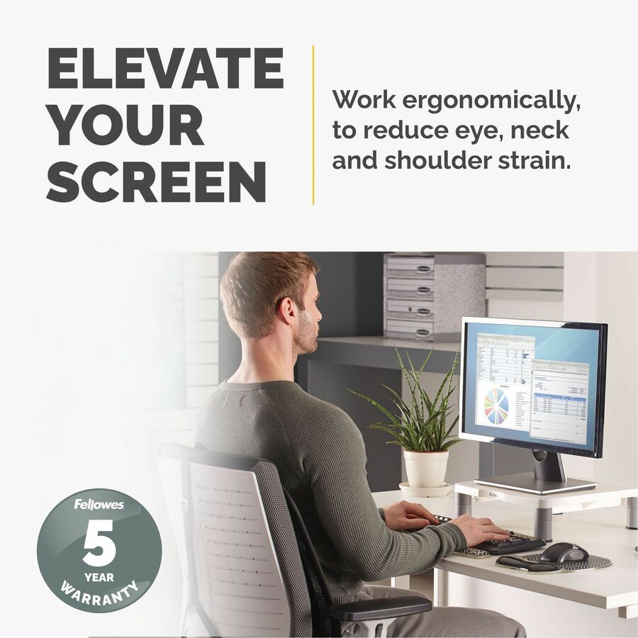 Fellowes Standard Monitor Riser - 91712