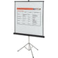 Quartet Manual Projection Screen - 560S