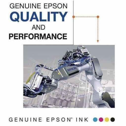 Epson Original Ink Cartridge - T606100