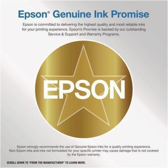 Epson Original Ink Cartridge - T606100