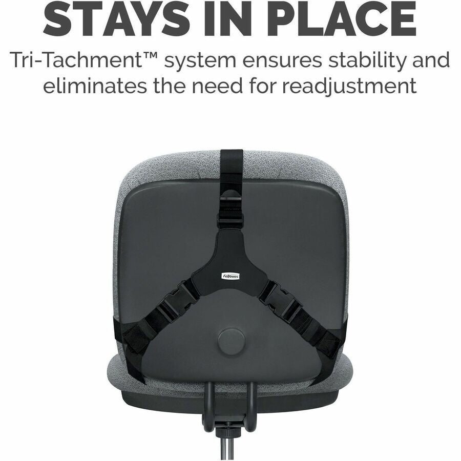 Fellowes Professional Series Back Support with Microban&reg; Protection - 8037601