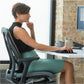 Fellowes Professional Series Back Support with Microban&reg; Protection - 8037601