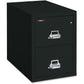 FireKing Insulated Two-Drawer Vertical File - 22131CBL