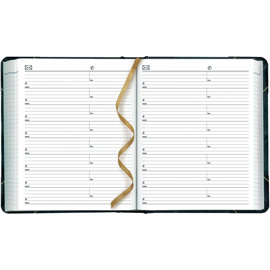 Blueline Traditional Daily Planner, 8" x 6-1/2" , English, Green - C517F