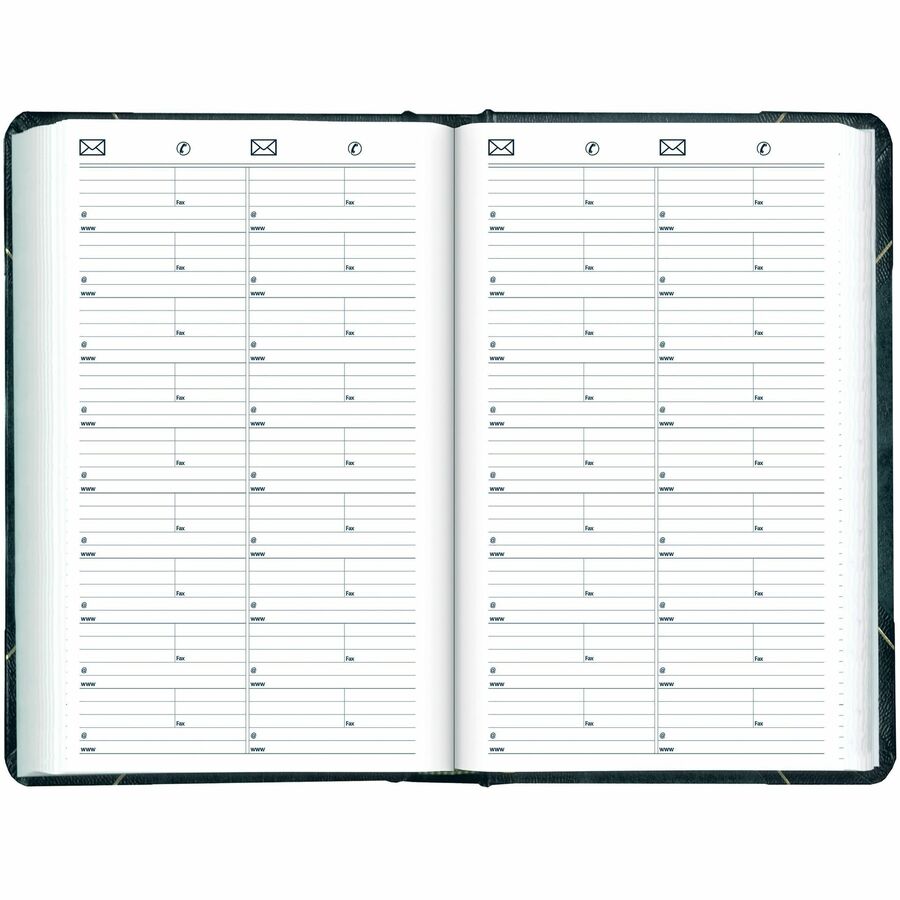 Blueline Traditional Daily Planner, 13-3/8" x 8" , English, Green - C530F