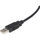 StarTech.com High Speed Certified USB 2.0 - USB cable - 4 pin USB Type A (M) - 4 pin USB Type B (M) - 3ft ( USB / Hi-Speed USB ) - USB2HAB3