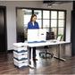Bankers Box Presto File Storage Box - FEL0063101