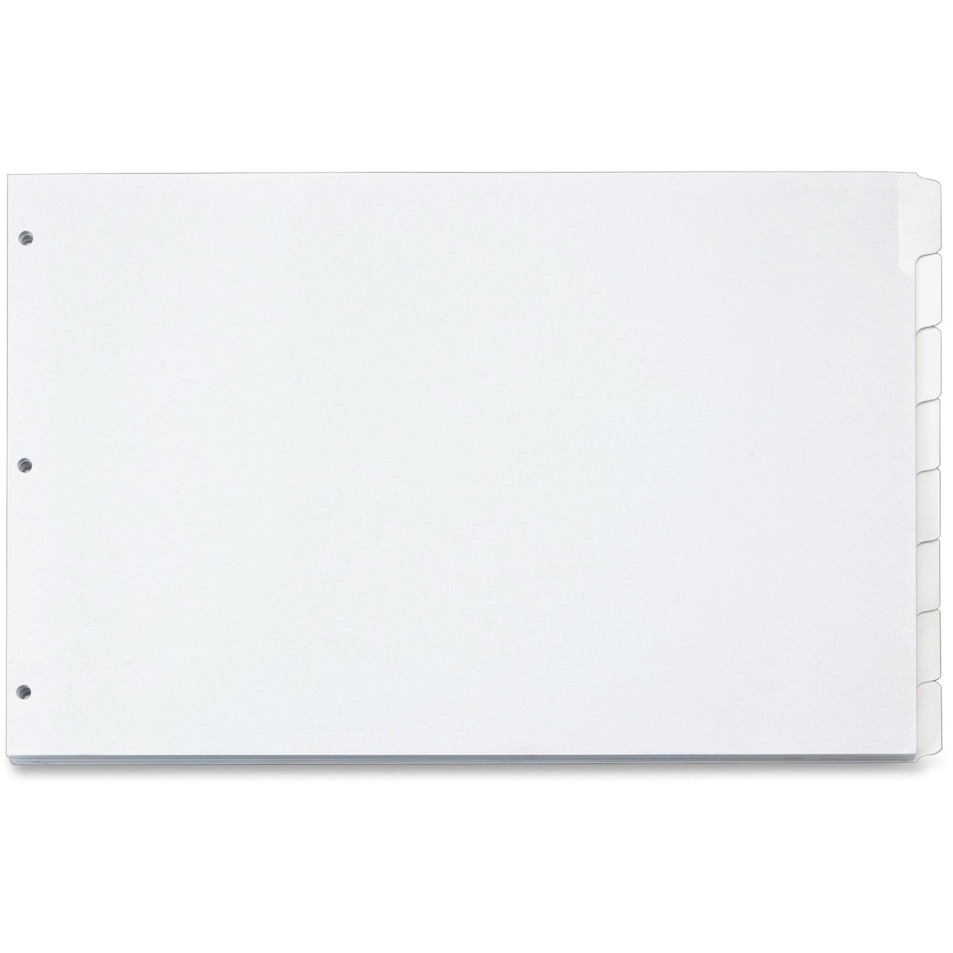 Cardinal&reg; Write 'n Erase Special Mylar Tab Dividers