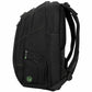 Targus Spruce EcoSmart TBB013US Carrying Case (Backpack) for 15.6" to 16" Notebook - Black/Green - TBB013US