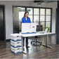 Bankers Box R-Kive File Storage Box - FEL07243