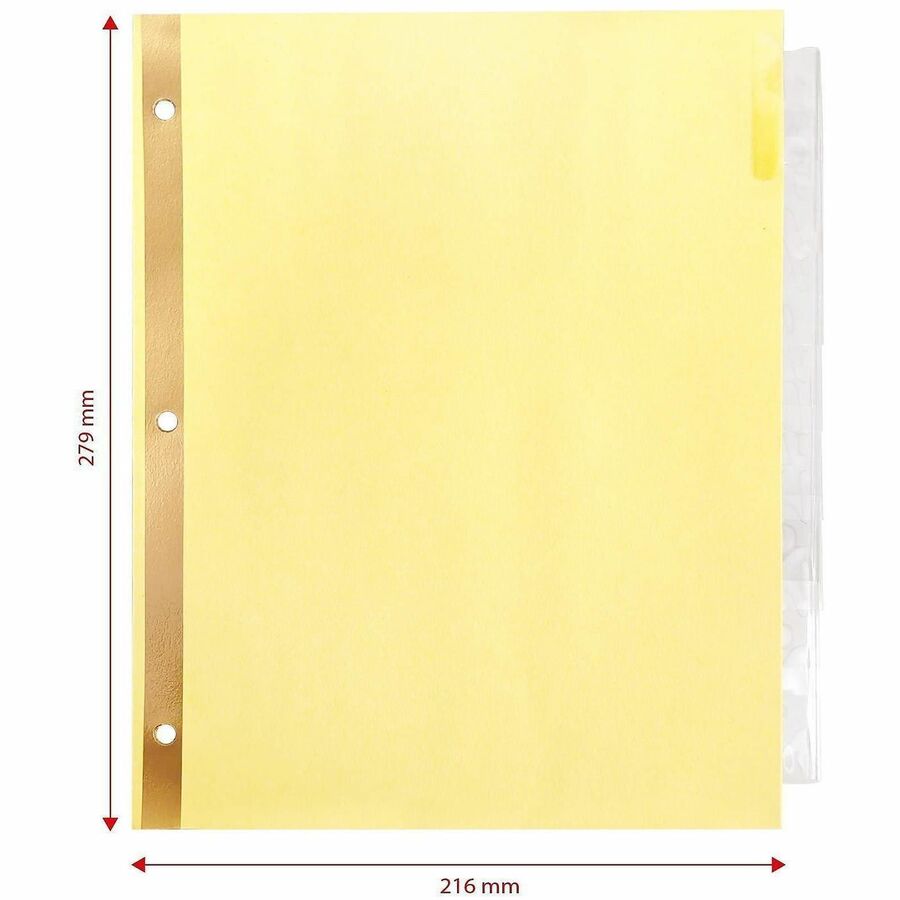Business Source Insertable Tab Indexes - 36691