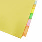 Business Source Insertable Tab Ring Binder Indexes - 36693