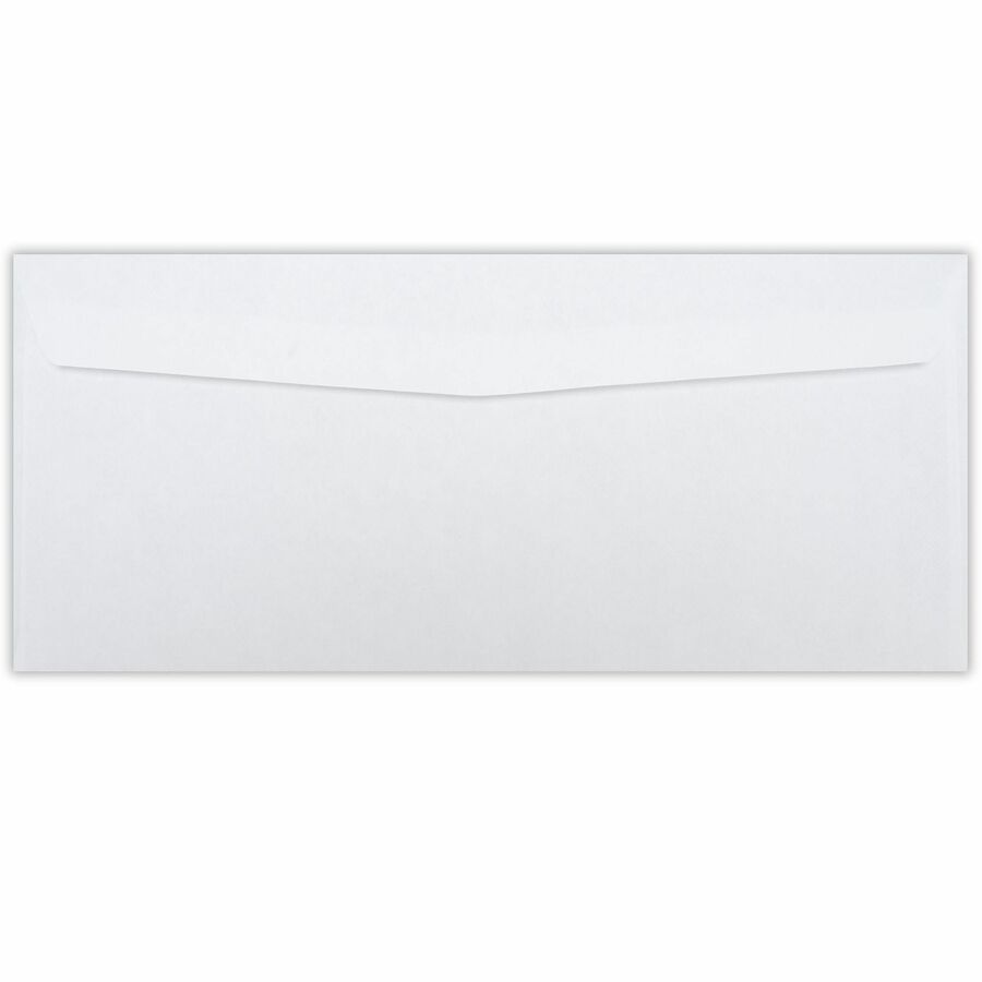Business Source No. 9 Double Window Invoice Envelopes - 36680