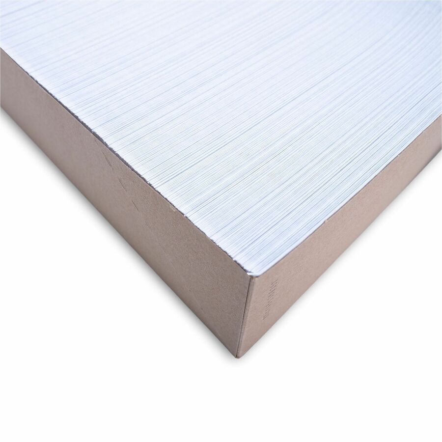 Business Source No. 9 Double Window Invoice Envelopes - 36680