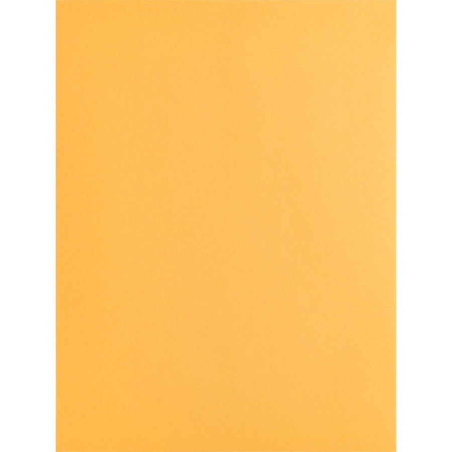 Business Source Kraft Gummed Catalog Envelopes - 42100
