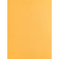 Business Source Kraft Gummed Catalog Envelopes - 42100
