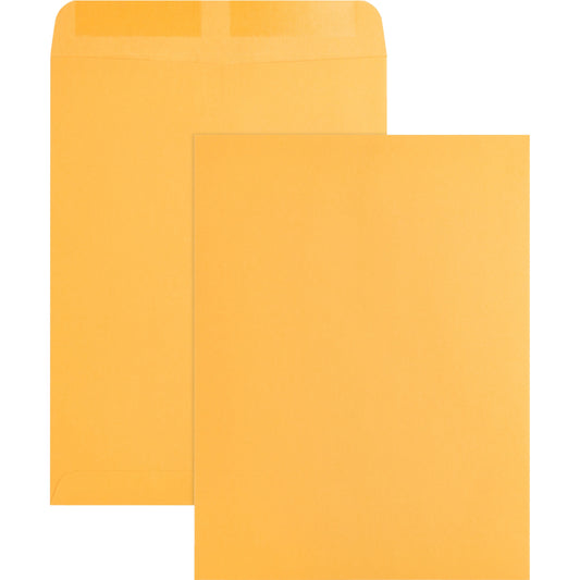 Business Source Kraft Gummed Catalog Envelopes