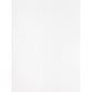 Business Source Self Sealing Catalog Envelope - 65450