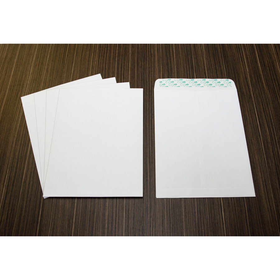 Business Source Self Sealing Catalog Envelope - 65450